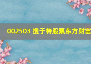 002503 搜于特股票东方财富